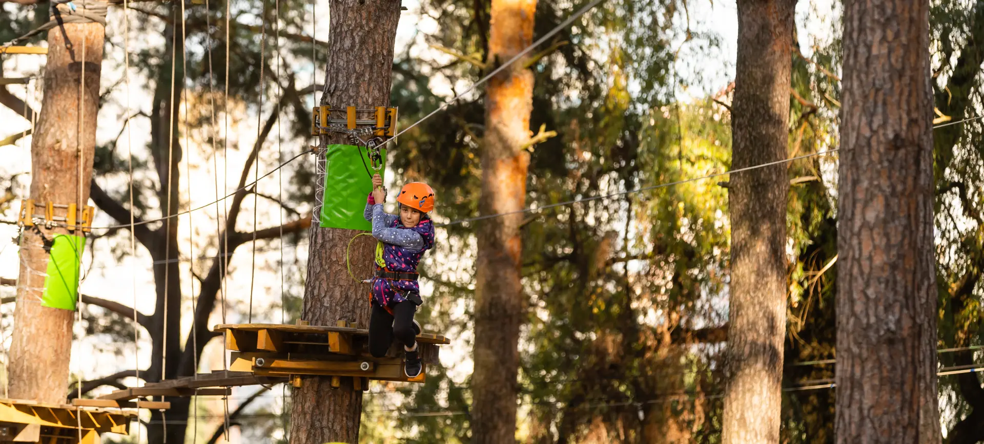 How Tree Surgeons Help Prevent Storm Damage
