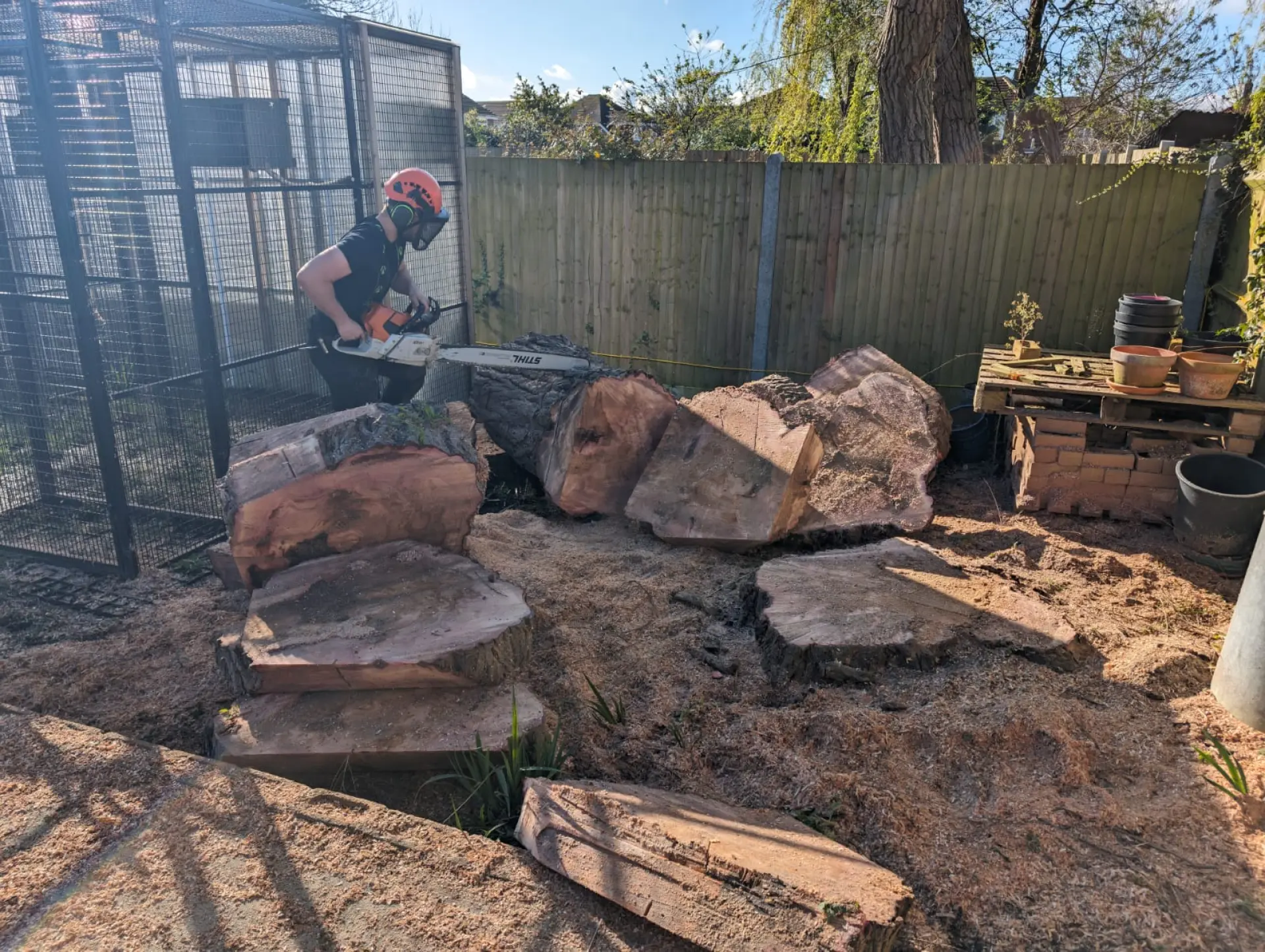 Storm Damage Tree Cleanup in Maidstone, Sittingbourne, Faversham, Bearsted