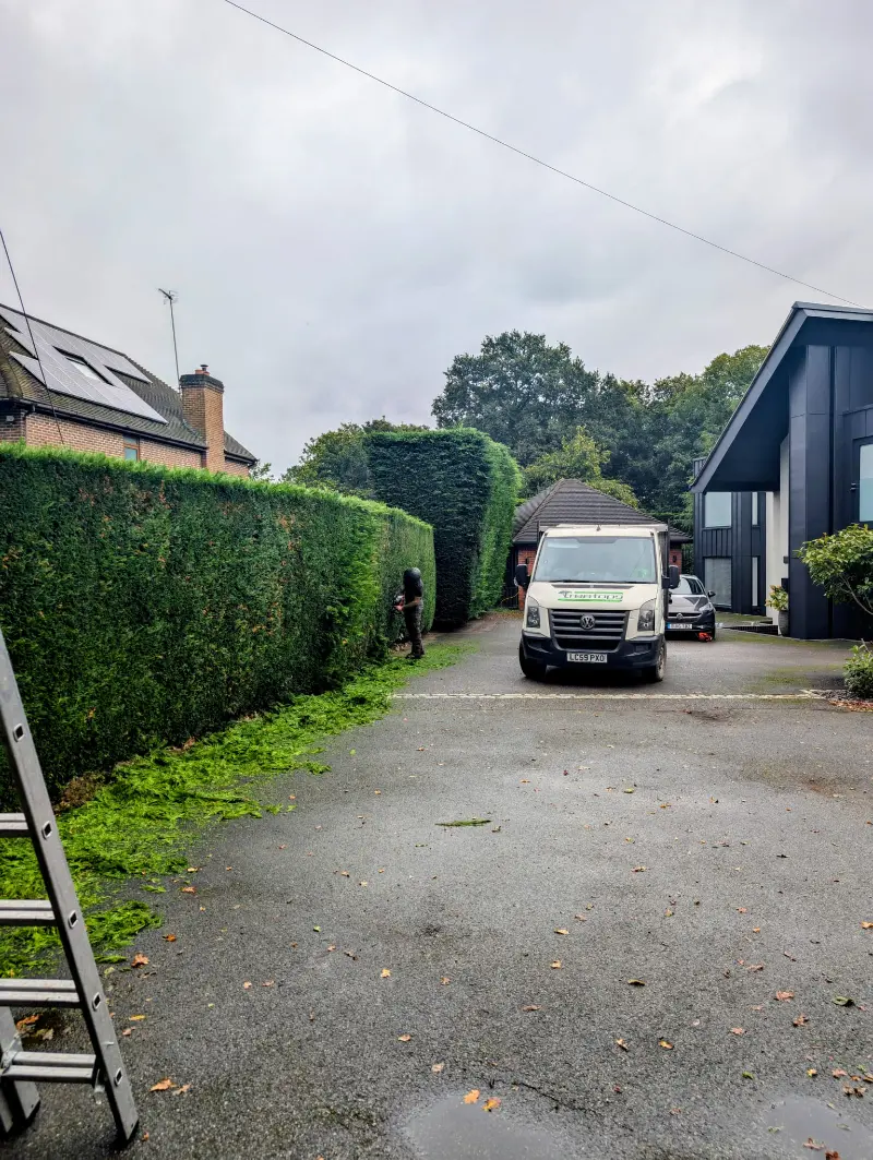 Hedge Trimming Sittingbourne, Faversham, Bearsted