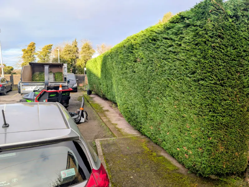 Hedge Trimming Sittingbourne, Faversham, Bearsted